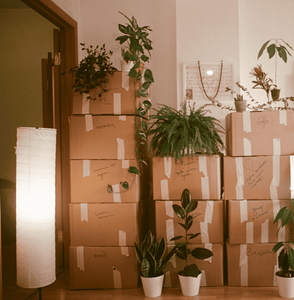 Stack of moving boxes with houseplants ready for relocation to London from the US